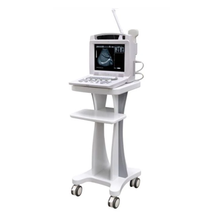 B/W Portable Ultrasound Scanner