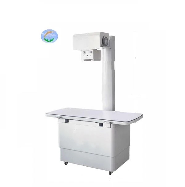 Veterinary RAY DR Veterinary RAY DR